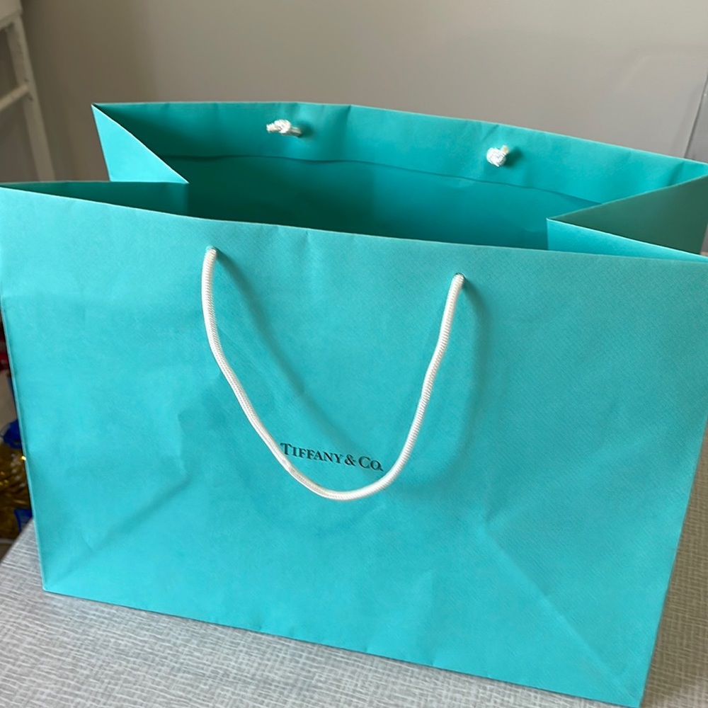 Tiffany & Co. LARGE gift bag.  Very good condition!